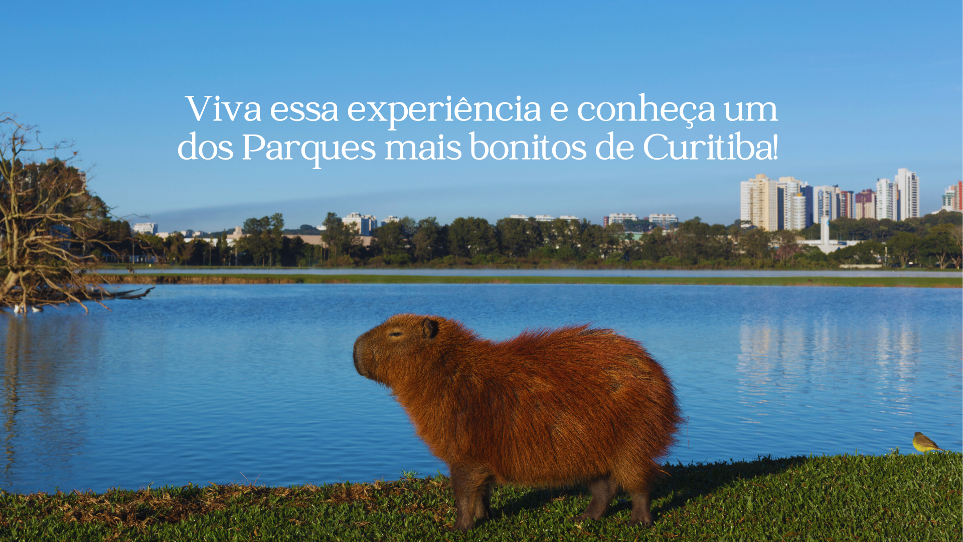 Restaurante do Parque Barigui